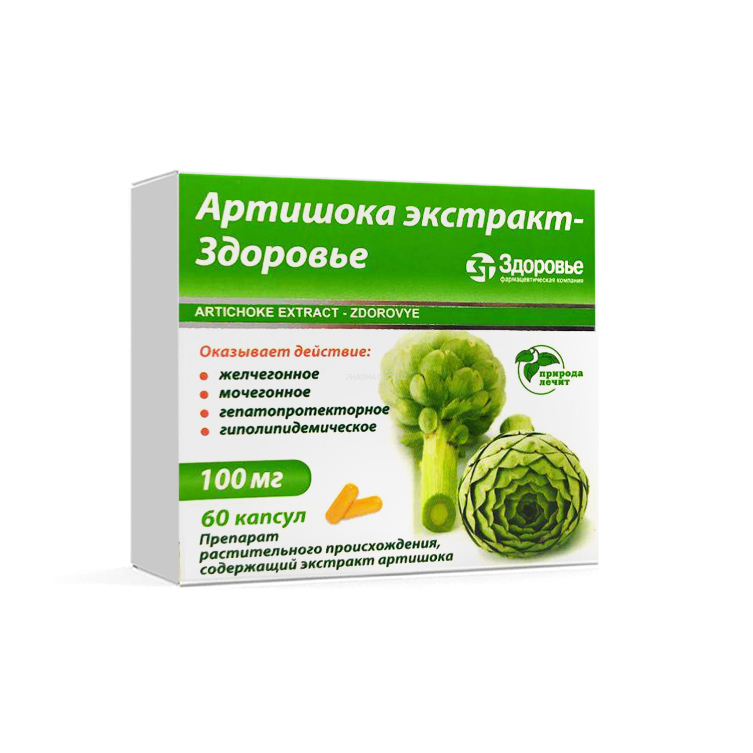Artishok ekstrakt-Zdorovye kapsulalar 100 mg №60