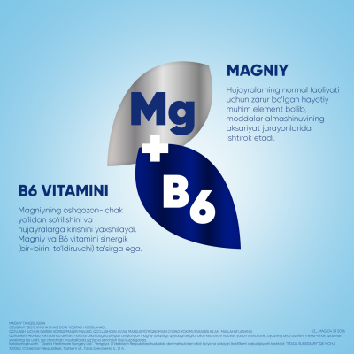 Magne B6 tabletkalar №60