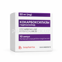 Кокарбоксилазы гидрохлорид