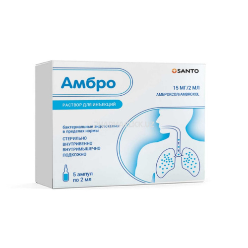 photo_2022-03-29_17-55-36 photo_2022-03-29_17-55-36